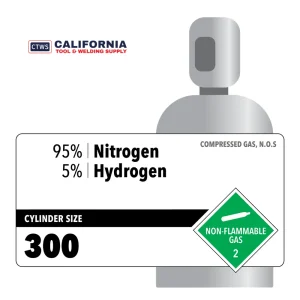 95% Nitrogen, 5% Hydrogen, 300 Rental