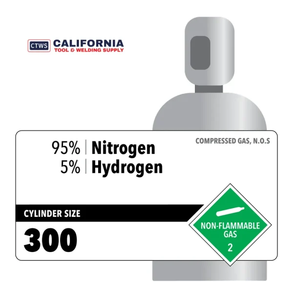 95% Nitrogen, 5% Hydrogen, 300 Rental