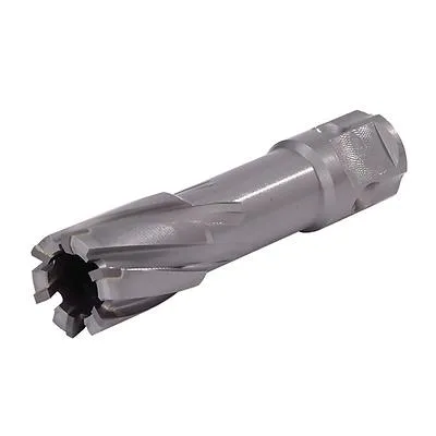 Walter 05H404 1 1/4″ x 2″ Carbide Universal Shank Core Cut Annular Cutters (1 Cutter)