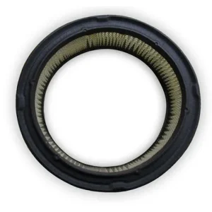 Onan Engine P-216/218/220 Air Filter 064617