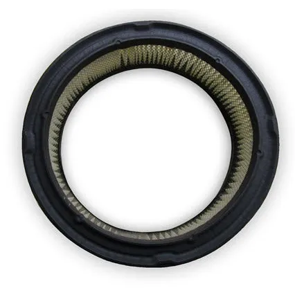 Onan Engine P-216/218/220 Air Filter 064617