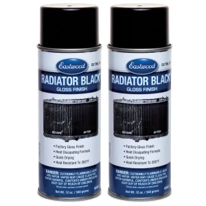 Eastwood Radiator Black Spray Paint Gloss Aerosol 12 oz