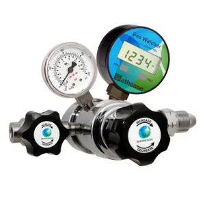 1250W Series Gas Watcher Dual-Stage Medium-Purity Regulator – Brass