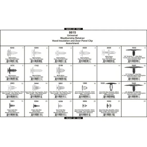 Domestic Door Panel & Weather Strip Retainers 197pc – Disco Automotive