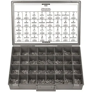 Chrome Trim Screws Phillips Oval Head – 1510pcs – Disco Automotive