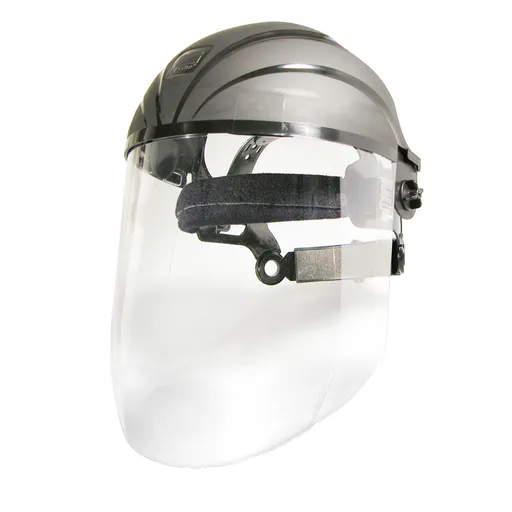 ArcOne Browguard with Visor |BG2-2CL