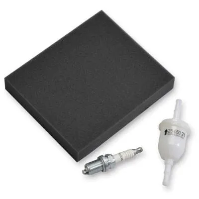 Kohler Command CH440 Tune-Up Kit 268469