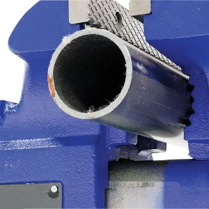 Eastwood 8 in Bench Vise