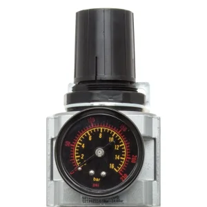 Rockwood® 1/2 InchNPT Air Filter Regulator System
