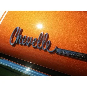 Eastwood Malibu Sunset Metallic Orange 3:1 Single Stage Automotive Car Paint – Gallon