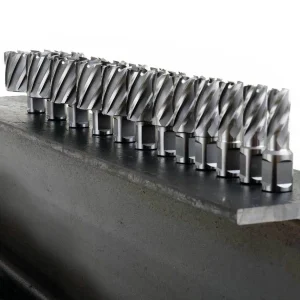 Evolution Power Tools 17/32 In. Dia. x 2 In. Depth Cyclone Premium Grade Cutter CC17/32L
