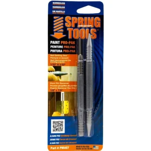 Spring Tools Paint Pro Pak Includes 48R24-1 & 32R12-1 Tools PM407