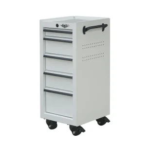 Viper Tool Storage 16-Inch 5-Drawer Rolling Tool / Salon Cart, White