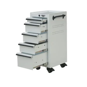 Viper Tool Storage 16-Inch 5-Drawer Rolling Tool / Salon Cart, White