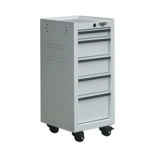 Viper Tool Storage 16-Inch 5-Drawer Rolling Tool / Salon Cart, White