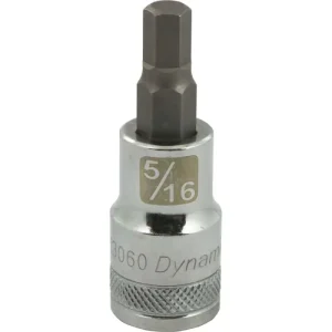 Dynamic Tools 1/2in. Drive SAE Hex Head 5/16in. Bit Standard Length Chrome Finish Socket D013060