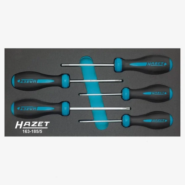 Hazet Hexanamic Screwdriver Set 5Pc 163-185/5