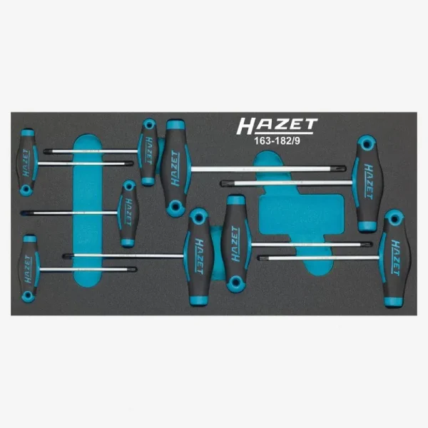 Hazet T-Handle Screwdriver Set 9Pc 163-182/9