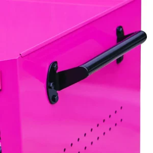 The Original Pink Box 16-in 5-Drawer 18G Steel Rolling Tool/Salon Cart, Pink PB1605R