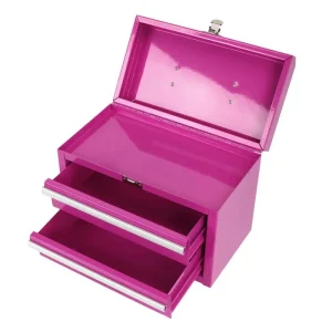 The Original Pink Box 11-in 2-Drawer Micro Tool Box, Pink PB1102MB