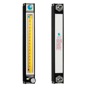 FMR-0789-SA Special FM-1050 (100-900 SCCM-H2)
