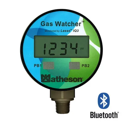 Gas Watcher – Smart Pressure Gauge, 3000 psig (SS)
