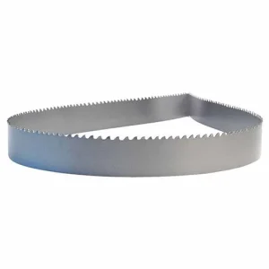 American Saw 10-14 TPI 1/2 in Width Band Saw Blade – 150 in | 80274D2B123810