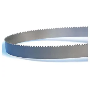 American Saw 8-12 TPI 1 in Width Band Saw Blade – 119.5 in | 72619CLB93035