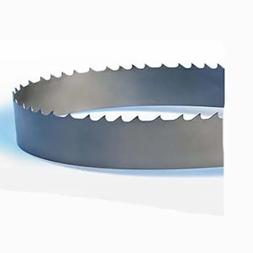 American Saw 4-6 TPI 1 in Width Band Saw Blade – 162 in | 13184COB134114