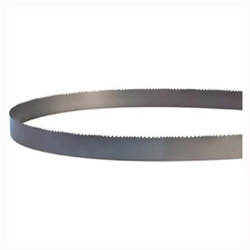 American Saw 8-12 TPI 3/4 in Width Band Saw Blade – 75 in | 85716CLB61905