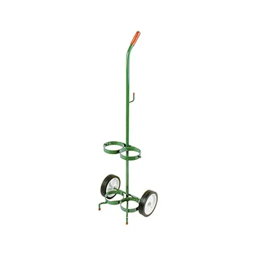 Anthony Welded Products CYL CART SML D & E 2 CYL PNEU | 6205