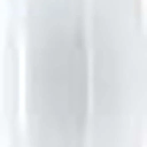 CK Worldwide Heat Shield – PRS | 300HS