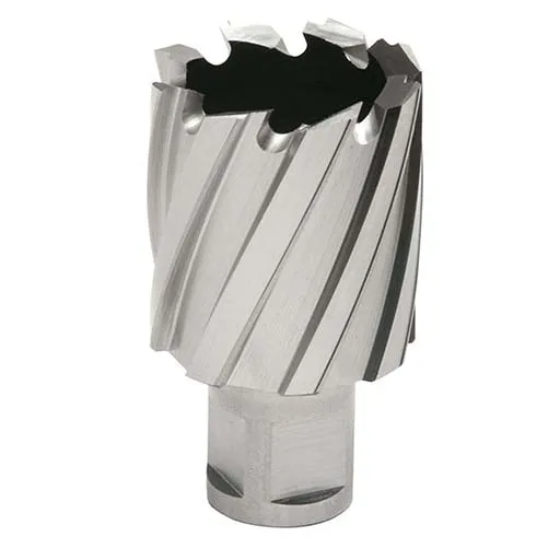 Hougen 12000 1 in Annular Cutter – 1-3/8 in | 12144