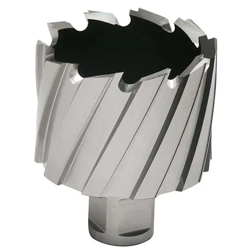 Hougen 12000 1 in Annular Cutter – 2 in | 12164