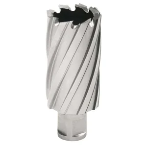 Hougen 12000 2 in Annular Cutter – 1-3/8 in | 12244