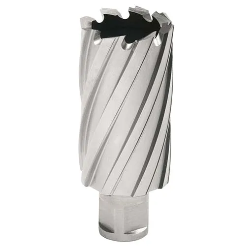 Hougen 12000 2 in Annular Cutter – 1-3/8 in | 12244