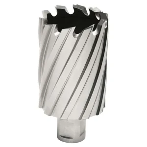Hougen 12000 2 in Annular Cutter – 1-13/16 in | 12258