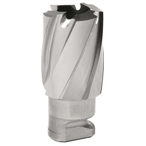 Hougen RotaLoc Annular Cutter13/16 in – Bright (Polished) | 17126