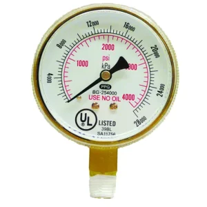 Prostar GAUGE 2-1/2 BRASS 4000 PSI/KPA | 20010