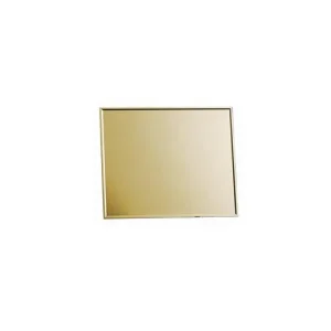PROSTAR Gold Filter Lens, Shade 10, Polycarbonate, 4.5″ x 5.25″ | 64217