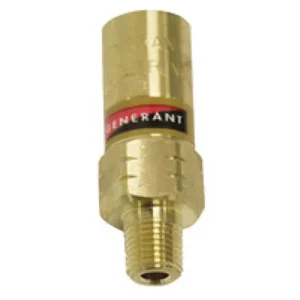 Ratermann VALVE SAFETY 1/4 MNPT 150 PSI | PR-150