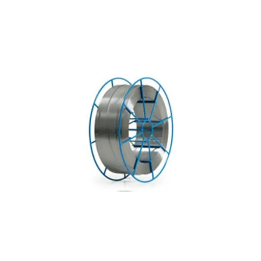 Sandvik Steel 309LT1-4 Wire 0.045 in – 33 lb | 2E309LT104533