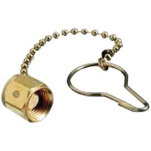 Western Enterprises PLUG & CHAIN CGA540 | 962